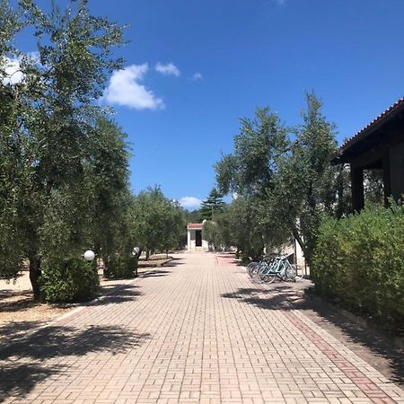 Tenuta Montincello Vieste Zewnętrze zdjęcie