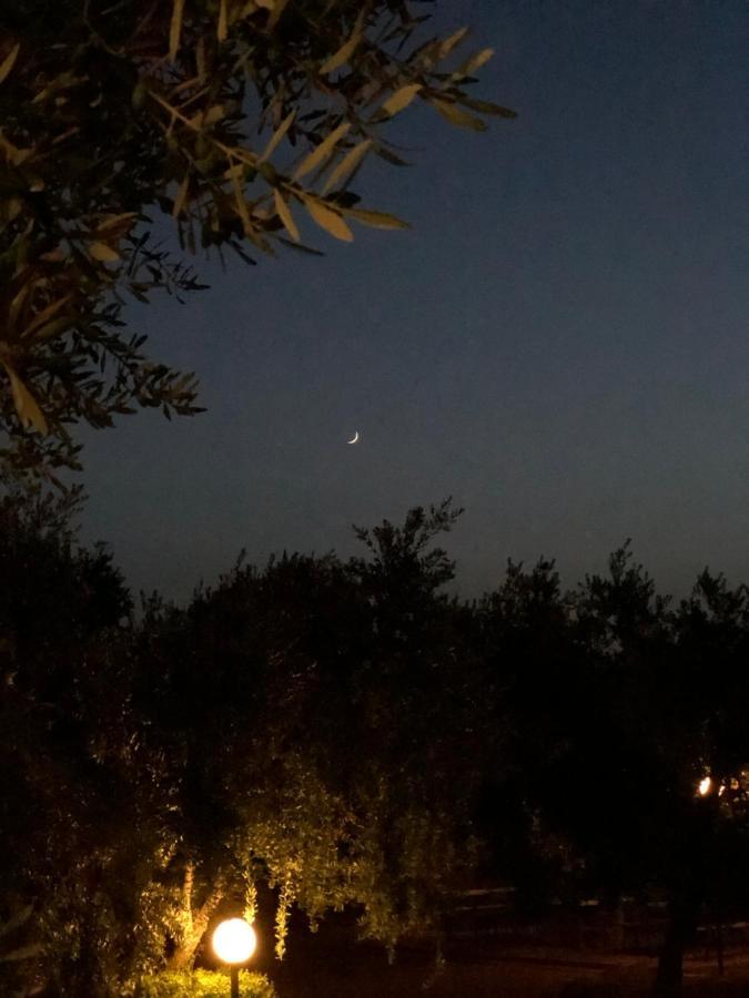 Tenuta Montincello Vieste Zewnętrze zdjęcie