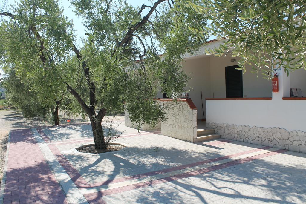 Tenuta Montincello Vieste Pokój zdjęcie