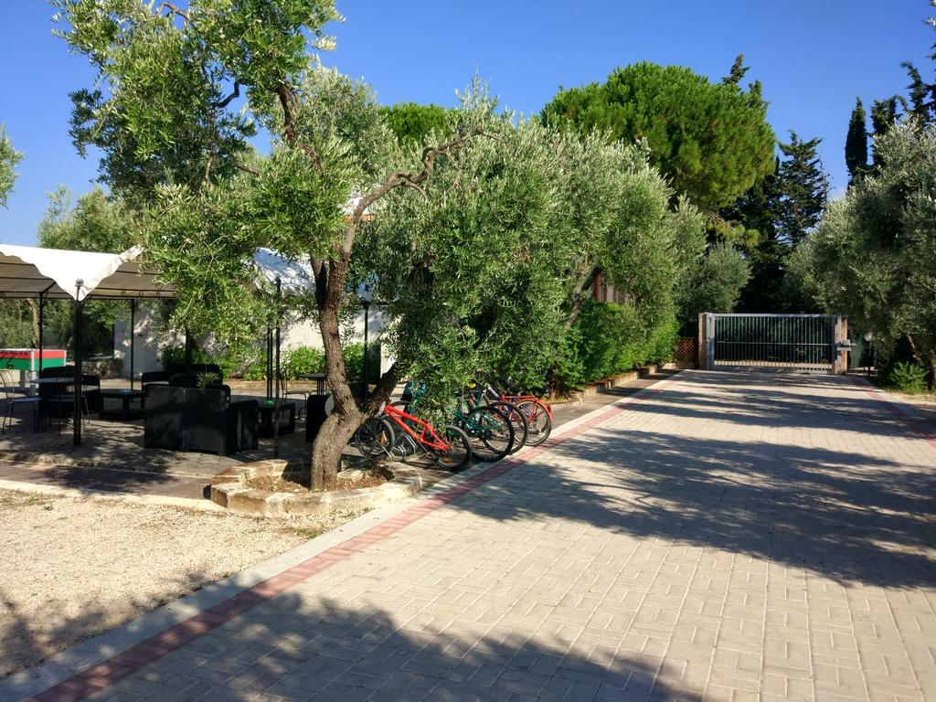 Tenuta Montincello Vieste Zewnętrze zdjęcie
