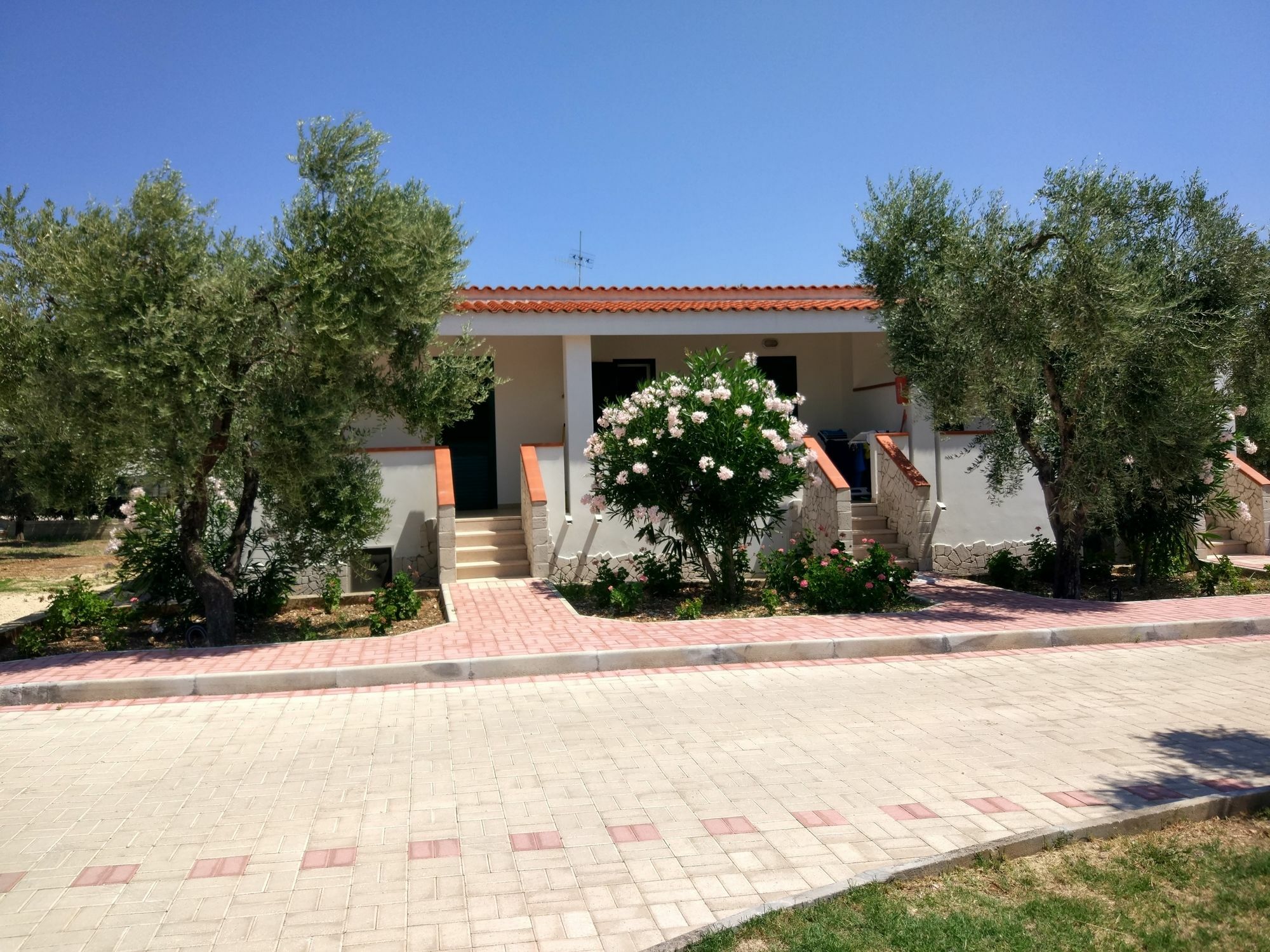 Tenuta Montincello Vieste Zewnętrze zdjęcie